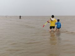 -南汇嘴观海公园