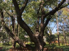 -徐家汇源景区-衡山公园