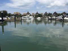 -椰树岛海滩度假村