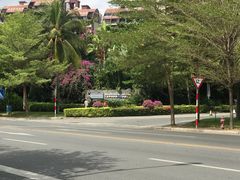 -三亚湾海居铂尔曼度假酒店