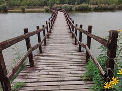 -西青郊野公园