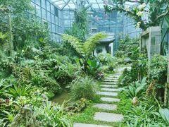 -东莞植物园