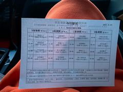-枫花园汽车电影院(朝阳公园店)