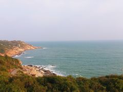 -广东惠东海龟国家级自然保护区