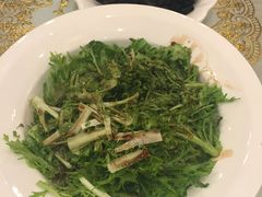 凉拌苦菊-星湖饭店(汉中门店)