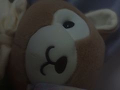 -萍香大厨·葱烧大鱼头(解放北路店)