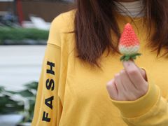 -建德果蔬乐园绪塘草莓基地