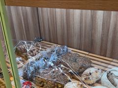 -野上麦田(中贸广场店)