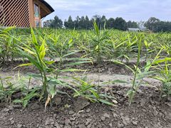 -中国天府农业博览园