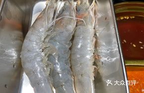 Deep-sea Prawn