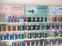 -立邦(柳滩专卖店)