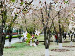 -龙美术馆(西岸馆)