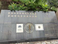 -磬锤峰森林公园