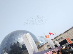 -陕西自然博物馆