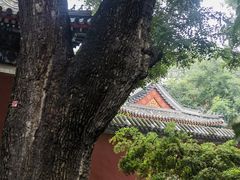 -北京艺术博物馆(万寿寺)