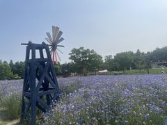 -同里国家湿地公园