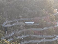 -福道