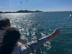 -海驴岛(荣成市)