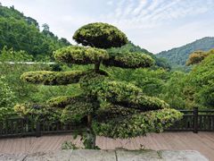 -桃花岭景区