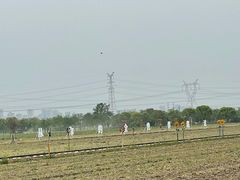-嘉北郊野公园