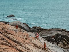 -广东惠东海龟国家级自然保护区