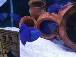 -Zoolung Zoolung动物主题公园(海信广场店)