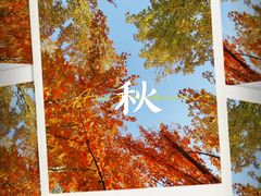 -回龙观体育文化公园