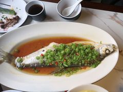 -绿茶餐厅(龙井船宴· 品牌总店)