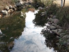 -白马涧龙池景区
