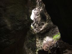 -牛背梁国家森林公园