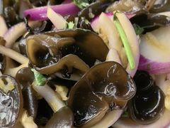 -老九圆山西面馆(CBD店)