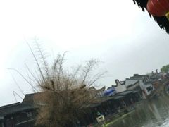 -老品芳