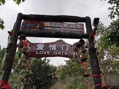 -呀诺达热带雨林