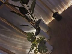 -谷悦SPA(王府井店)
