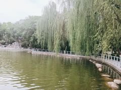 -莲湖公园