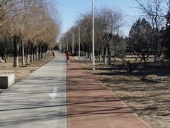 -绿堤公园