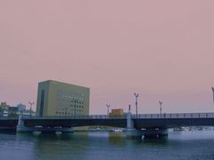 -币舞桥