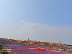 -密云玫瑰情园