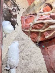 -Zoolung Zoolung动物主题公园(海信广场店)