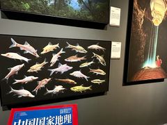 -福州海峡文化艺术中心