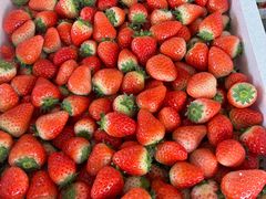 -东方鼎信农副产品交易中心