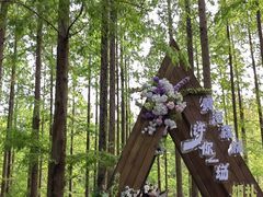 -黄海国家森林公园