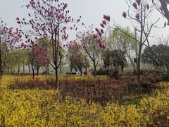 -洨河生态公园