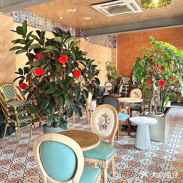 在泉州被花包围的咖啡店💐