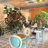 在泉州被花包围的咖啡店💐