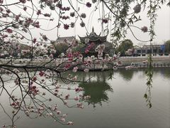 -南通濠河风景名胜区