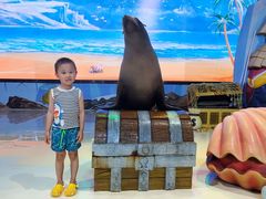 -三亚海昌梦幻海洋不夜城