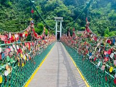 -西双版纳原始森林公园