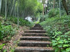 -龙井村