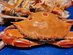 -星伦多自助料理·涮烤一体(江桥万达店)